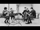 Philip Glass - String Quartet No. 3 "Mishima" , VI