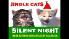 Jingle Cats Silent Night
