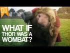 Wombat Thor! - Funny Photoshops #32