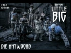 LITTLE BIG and DIE ANTWOORD on one stage. 2 july. A2. SPB