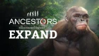 Ancestors: The Humankind Odyssey - 101 Trailer EP2: Expand - Russian