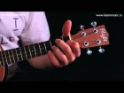 Видео урок: как играть песню Я Свободен - Кипелов (Ария) на укулеле (гавайская гитара)
