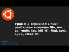 Видео урок 2   Терминал Linux команды: file, mv, cp, rmdir, ps, kill  9, find, sort,  , clear