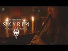TES V Skyrim - A Chance Meeting - Cover by Dryante (Jeremy Soule)