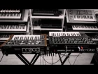 Sequential Pro-One vs. Moog Prodigy - Analog Synthesizer