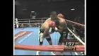 Roy Jones Junior vs Thomas Tate - IBF Middleweight Title Fight