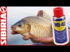 Ловля карася на WD-40. Рыбалка на поплавочную удочку Как насаживать манку