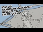 How did Polynesian wayfinders navigate the Pacific Ocean? - Alan Tamayose and Shantell De Silva