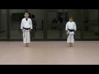 JKA/ Mahiro & Masaki practice Heian shodan-godan and Tekki shodan part 1