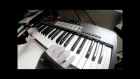 30 Seconds To Mars - A Beautiful Lie Cover by Igor Shex