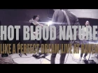 Hot Blood Nature - "Like a Perfect Dream" (Live at Raven) part 3