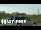 Russian crazy yogi отжимается в стойке на руках с лотосом на крыше движущегося автомобиля