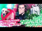 ИСТРЕБЛЕНИЕ ЖИВОТНЫХ ПЕРЕД ЧМ-2018 / ЛЮДИ ЗАДЫХАЮТСЯ