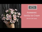 Ахименес Vanilla Ice Cream (Ванилэ Айс Крим)