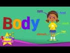 Kids vocabulary - Body - parts of body - Learn English for kids - English educational video