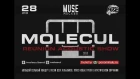 MOLECUL - Live in Moscow (Muse club 28.04.2018)