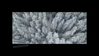 Beautiful Russian winter from above. Cinematic 4K aerial drone video