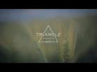 Live In — Triangle «Elements»