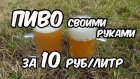 Пиво своими руками за 10 рублей - 1 литр. Рецепт + Дегустация