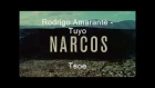 Rodrigo Amarante -  Tuyo (OST Narcos) lyrics letras русский перевод + esp subtitles