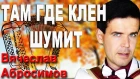 ТАМ ГДЕ КЛЕН ШУМИТ под баян - поет Вячеслав Абросимов