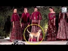 A Street Dog Enters Rohit Bal's Fashion Show And Steals The Limelight | LehrenTV