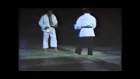 Chuck Norris & Carlos Machado - Jiu-Jitsu Sparring/Demonstration - 1992 chuck norris & carlos machado - jiu-jitsu sparring/demon
