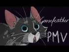 Lay Me Down- Goosefeather Warrior Cats PMV