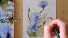How to draw and paint a Flower, Wildflowers in Watercolor Line and Wash. Peter Sheeler
