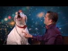 Dog sings Whitney Houston | Belgium's Got Talent | VTM