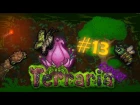 Выживание в Terraria 1.3.0.8 (Expert) - Ползаю по джунглям в поисках их королевы #13