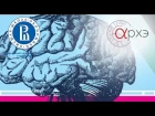 Мари Арсалиду: "Brain and cognitive load" (с переводом на русский)