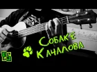 Собаке Качалова - на укулеле (6 Океанов, cover) Есенин "Дай, Джим, на счастье лапу мне"