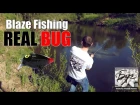 Blaze Fishing - Real Bug