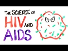 Как работает ВИЧ/СПИД rfr hf,jnftn dbx/cgbl