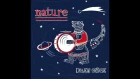 Disen Gage — Nature ( full album v i s u a l s by .noa )