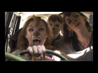 Petrol Girls - Restless (Official Video)