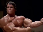 Arnold Schwarzenegger Bodybuilding Training Motivation - No Pain No Gain | 2018