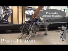 PneuHound, a robot dog driven by pneumatics