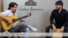 Antonio Rey & Paquito González in Solera Flamenca: "Dos partes de mi". Bulería