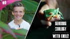 Frogs of Costa Rica: Green-and-black poison dart frog and Red-eyed tree frog - Serious Biology #9