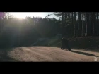 Dance Gavin Dance - Count Bassy (Official Music Video)