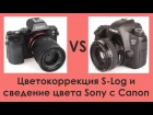 Цветокорекция S-log и сведение цвета Sony с Canon