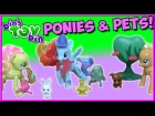 My Little Pony Poseable Ponies with PETS! Rainbow Dash, Applejack & Fluttershy! | Bin's Toy Bin
