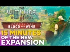 The Witcher 3: Blood and Wine Expansion REVEALED!