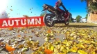 Autumn | Honda CBR 600 RR