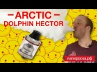 Arctic Dolphin Hector RTA | Цена решает 