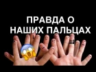 Обзор на человеческие пальцы | Самый Плохой Блог