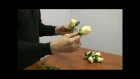 How to Make a Corsage and Boutonniere for a Wedding