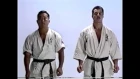 Andy Hug, Kyokushin Karate Kumite Techniques